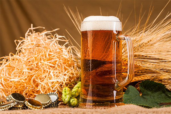 Vorteile von Bier