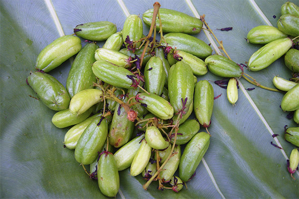 Verwendung der Bilimbi-Frucht in der Küche