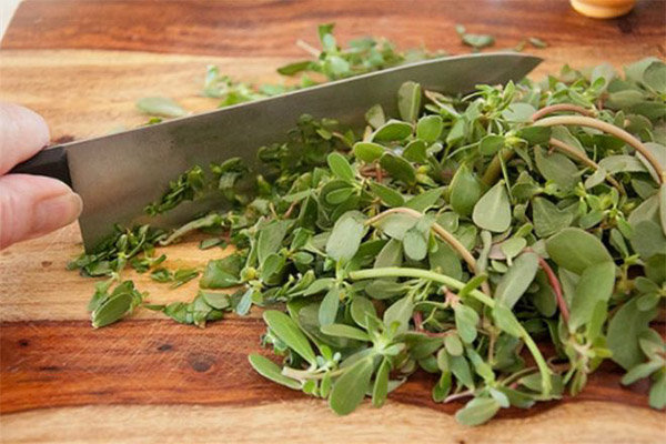 Utilisation du pourpier en cuisine