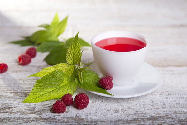 Tee aus getrockneten Himbeeren