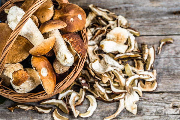 Wie erkennt man, dass die Pilze getrocknet sind