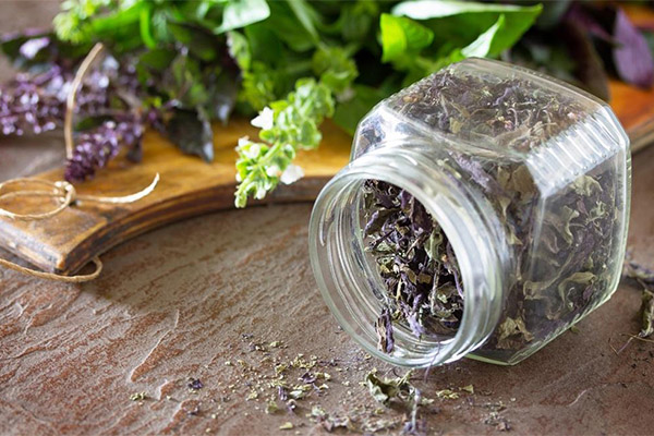 Comment bien conserver le basilic séché