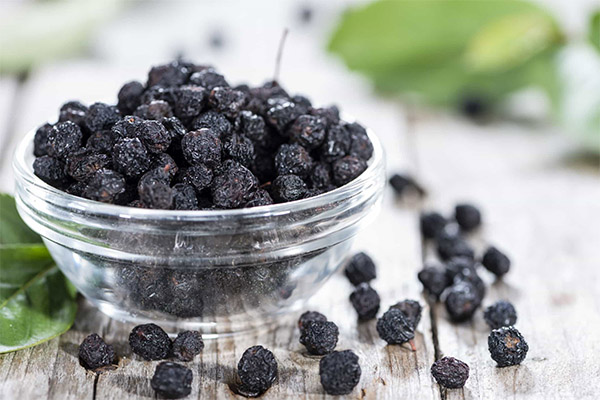 Comment sécher correctement l'aronia