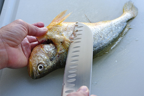 Wie Sie Fisch zerlegen