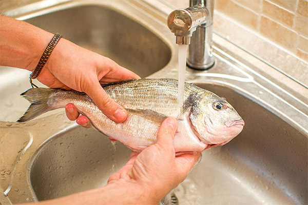 Wie taut man Fisch im Wasser auf?