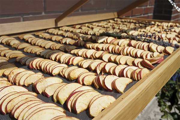 Äpfel in der Sonne trocknen