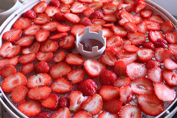 Comment sécher les fraises dans un déshydrateur électrique