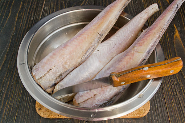 Kann man aufgetauten Fisch wieder einfrieren?