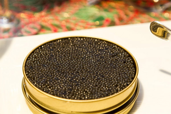 Les règles essentielles de conservation du caviar noir