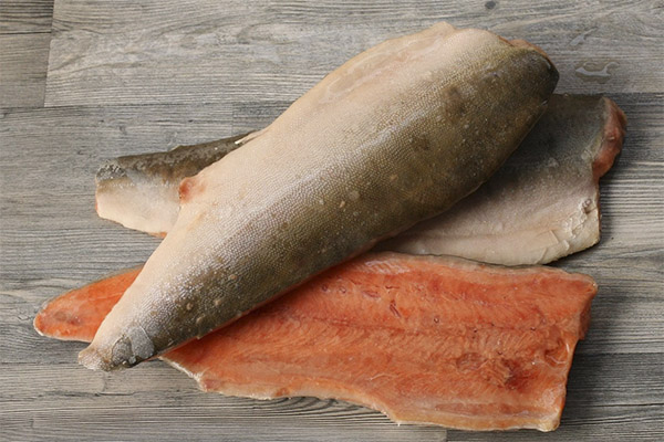 Propriétés bénéfiques du poisson kijoutch