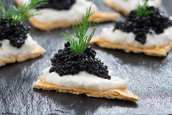 Recettes de plats au caviar noir