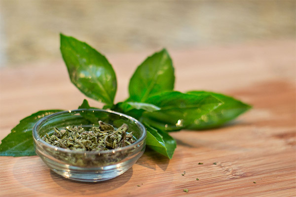 Recettes avec du basilic séché