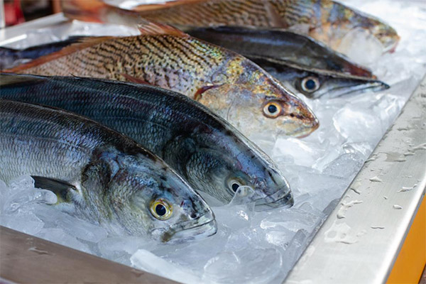 Wie lange ist aufgetauter Fisch im Kühlschrank haltbar?