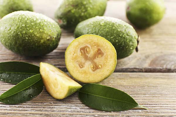 En quoi le feijoa est-il bénéfique ?