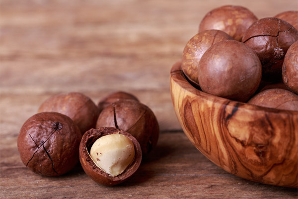Wofür ist die Macadamianuss gesund?