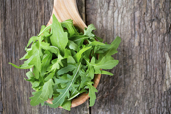 Quels sont les bienfaits de la roquette