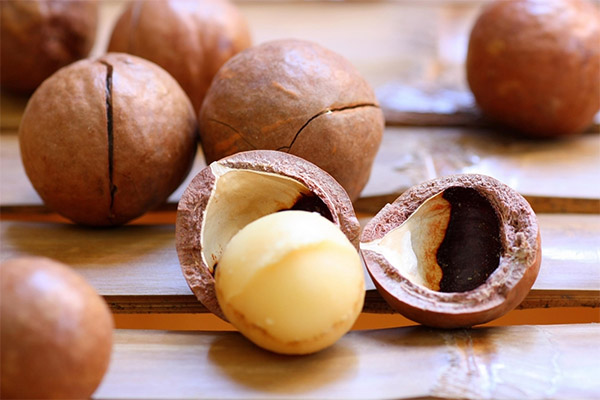 Wie man die Schale der Macadamia verwendet