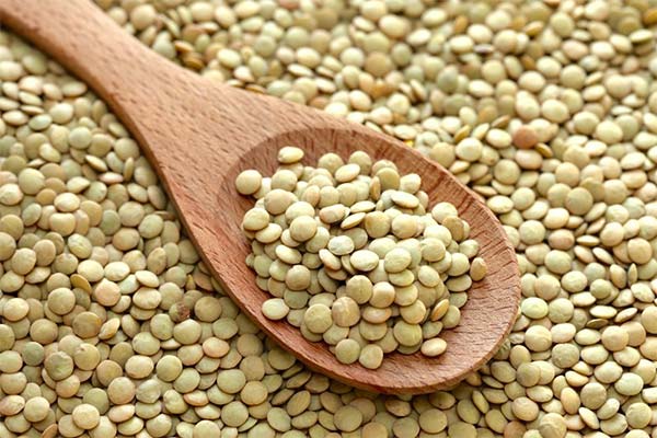 Comment consommer les lentilles pendant l'allaitement