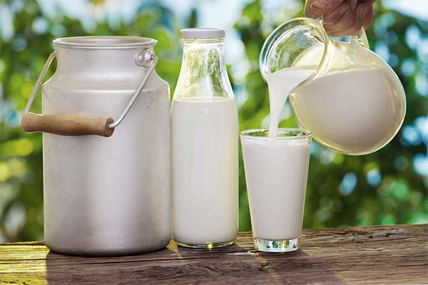Comment consommer le lait correctement