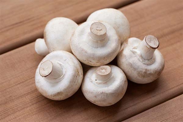 Comment introduire correctement les champignons de Paris dans l'alimentation d'une maman allaitante