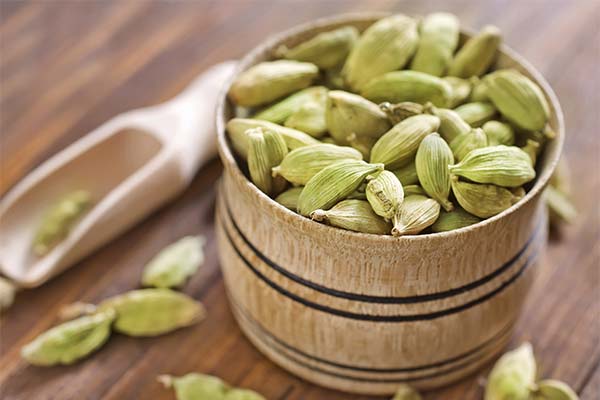 Comment bien choisir la cardamome