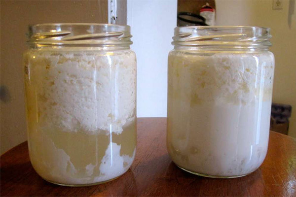 Comment faire du lait caillé