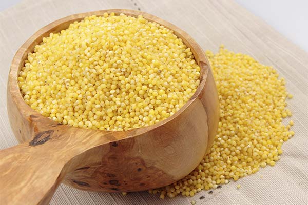 Comment choisir du millet de qualité