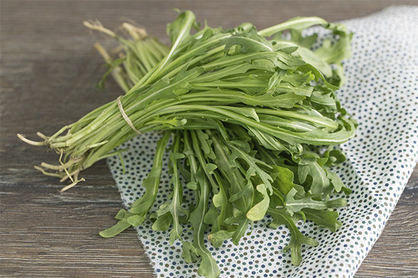 Comment faire pousser de la roquette