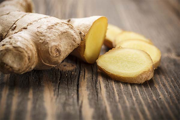 Précautions à prendre lors de la consommation de gingembre