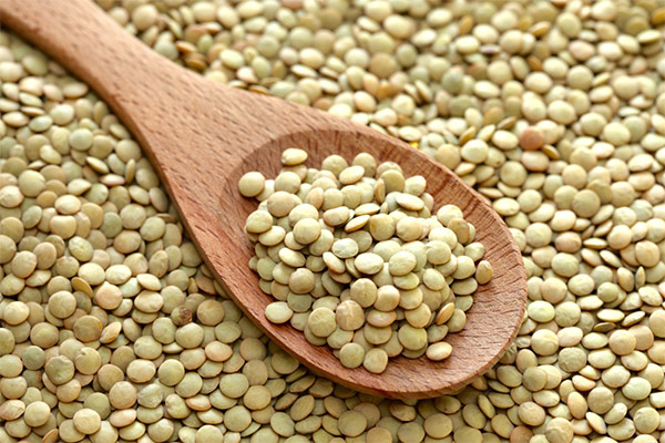 Propriétés bénéfiques des lentilles