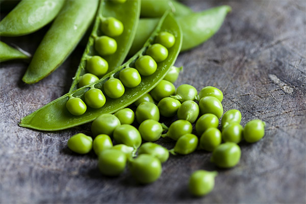 Propriétés bénéfiques du pois pour la perte de poids