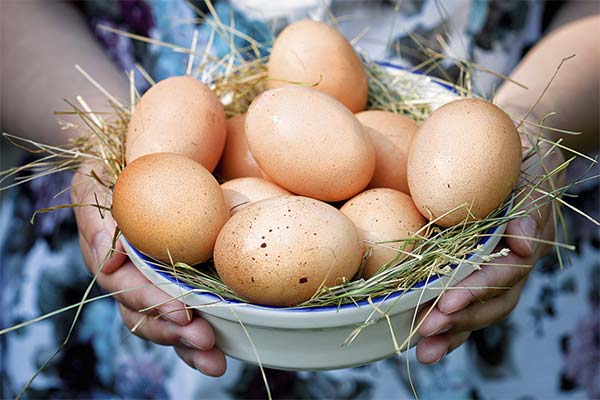 Bienfaits des œufs pendant la grossesse