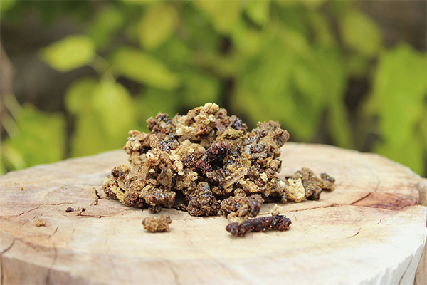 Les bienfaits de la propolis pour les femmes