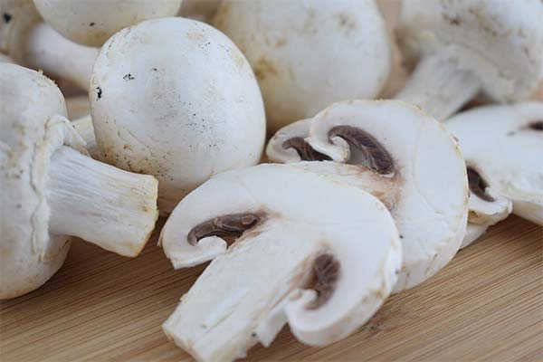 Bienfaits des champignons de Paris pendant l'allaitement