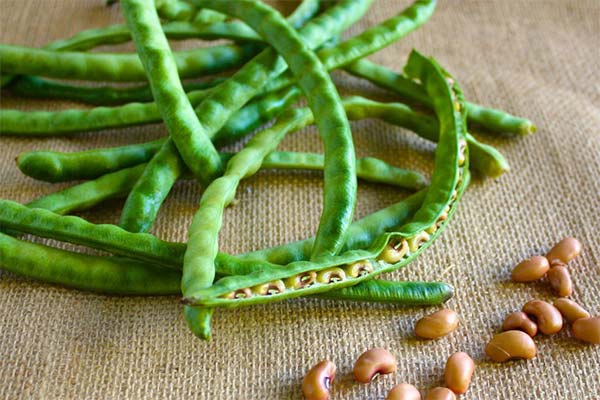 Bienfaits des haricots verts pendant l'allaitement
