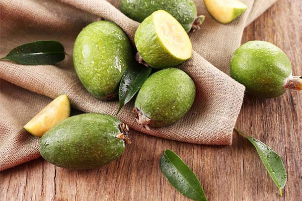 Utilisation du feijoa en cosmétologie