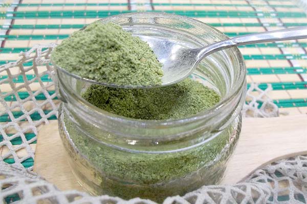 Utilisation de l'oignon vert séché en cosmétologie et en médecine