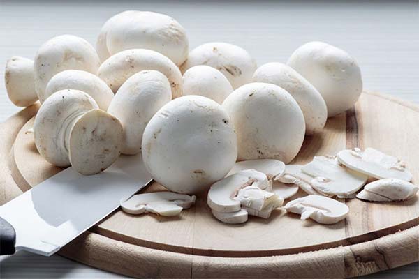 Recettes de plats à base de champignons de Paris