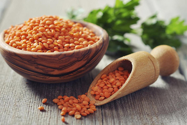Recettes à base de lentilles rouges