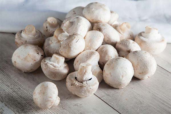 Les champignons de Paris pendant l'allaitement