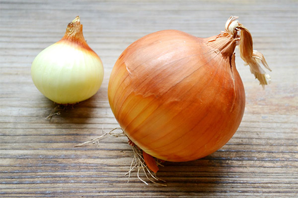 Süße Zwiebelsorten