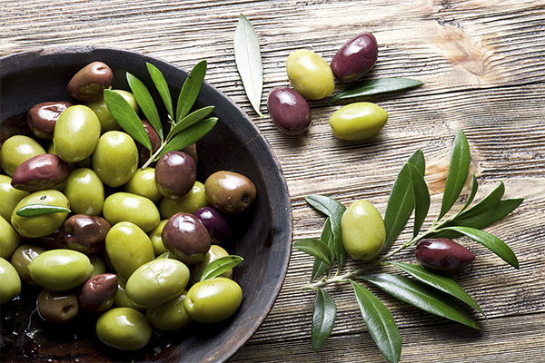 En quoi les olives noires diffèrent-elles des olives vertes ?