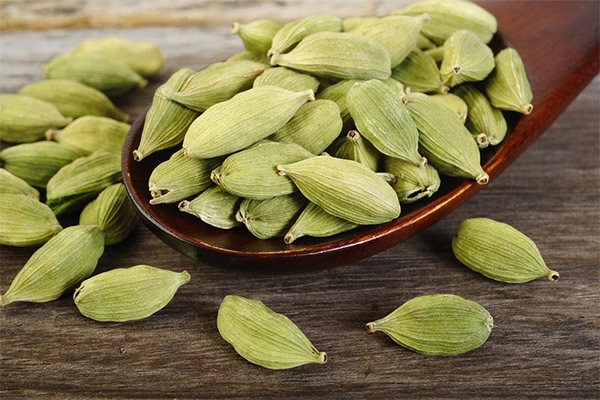En quoi la cardamome est-elle bénéfique pour la perte de poids