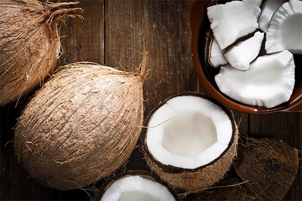 En quoi la noix de coco est-elle bénéfique ?