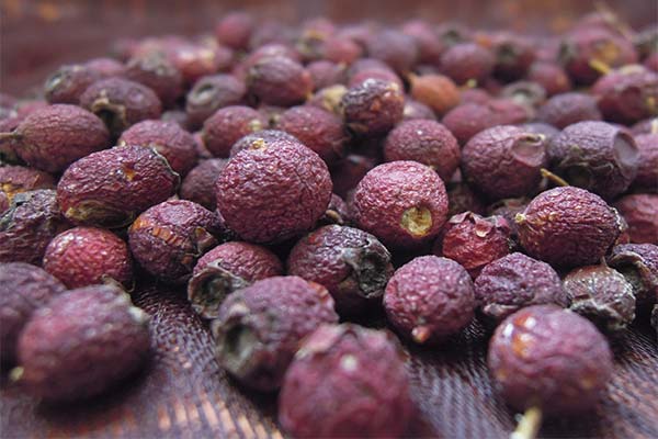 Bienfaits de l'aubépine séchée