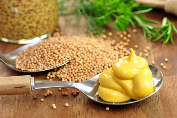 Quels sont les bienfaits de la moutarde ?