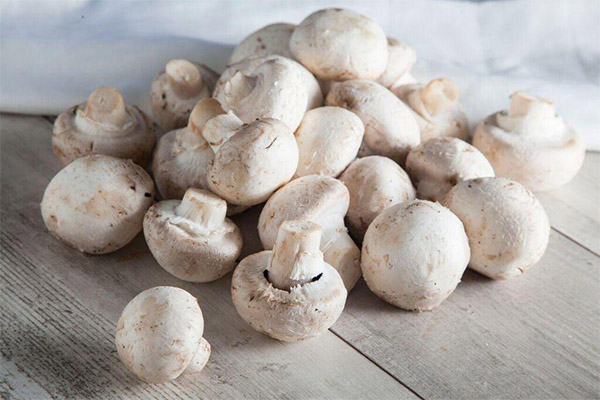 Quels sont les bienfaits des champignons de Paris ?