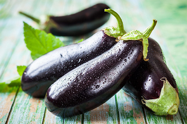 Faits intéressants sur les aubergines