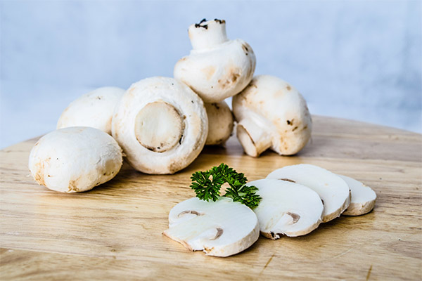 Faits intéressants sur les champignons de Paris