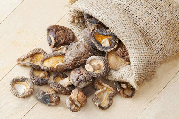 Comment conserver les champignons séchés